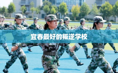 宜春最好的叛逆学校