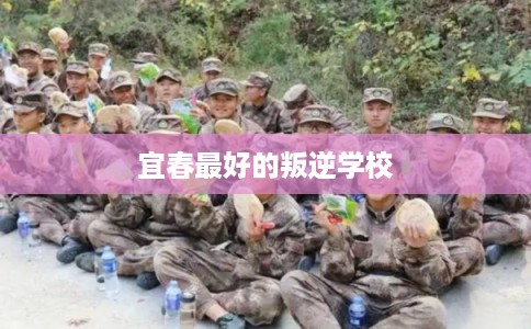 宜春最好的叛逆学校