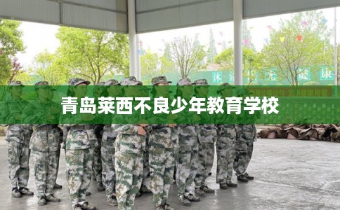 青岛莱西不良少年教育学校