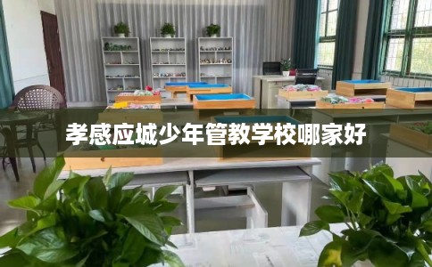 孝感应城少年管教学校哪家好