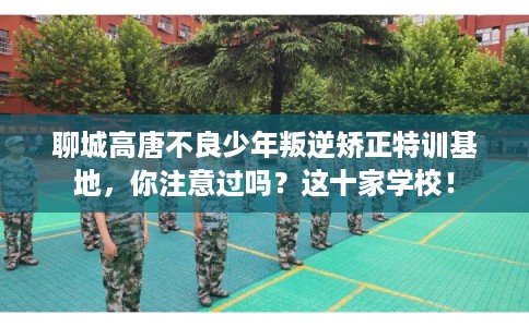 聊城高唐不良少年叛逆矫正特训基地，你注意过吗？这十家学校！