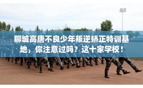 聊城高唐不良少年叛逆矫正特训基地，你注意过吗？这十家学校！