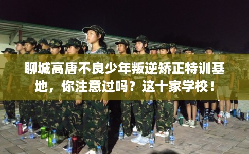 聊城高唐不良少年叛逆矫正特训基地，你注意过吗？这十家学校！