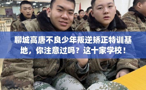 聊城高唐不良少年叛逆矫正特训基地，你注意过吗？这十家学校！
