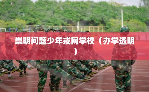 崇明问题少年戒网学校（办学透明）