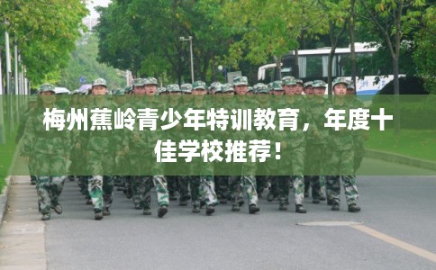 梅州蕉岭青少年特训教育，年度十佳学校推荐！