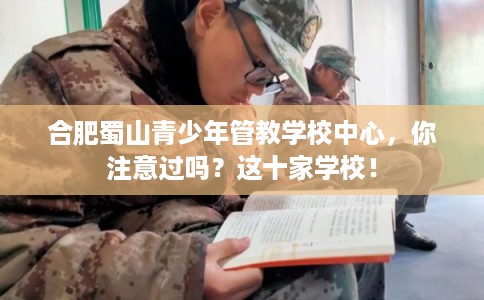 合肥蜀山青少年管教学校中心，你注意过吗？这十家学校！