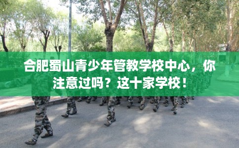 合肥蜀山青少年管教学校中心，你注意过吗？这十家学校！
