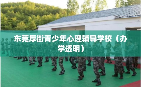 东莞厚街青少年心理辅导学校（办学透明）