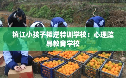 镇江小孩子叛逆特训学校：心理疏导教育学校