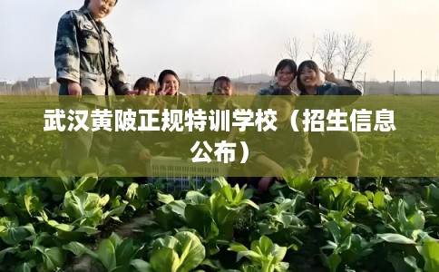 武汉黄陂正规特训学校（招生信息公布）