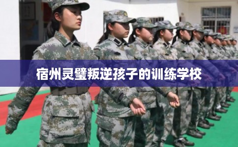 宿州灵璧叛逆孩子的训练学校