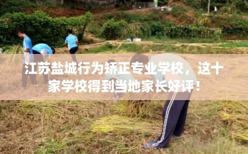 江苏盐城行为矫正专业学校，这十家学校得到当地家长好评！