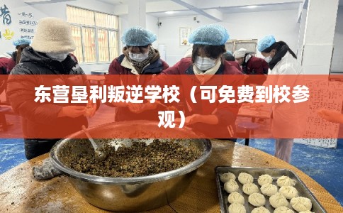 东营垦利叛逆学校（可免费到校参观）