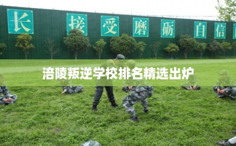 涪陵叛逆学校排名精选出炉