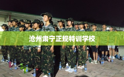 沧州肃宁正规特训学校