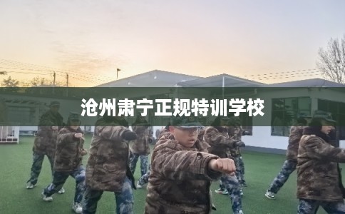 沧州肃宁正规特训学校