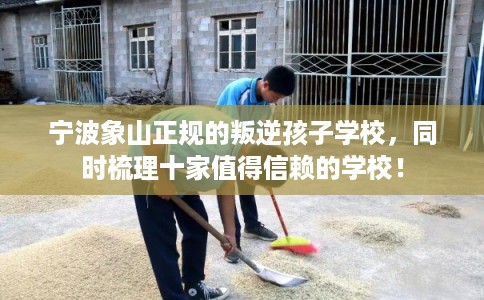 宁波象山正规的叛逆孩子学校，同时梳理十家值得信赖的学校！