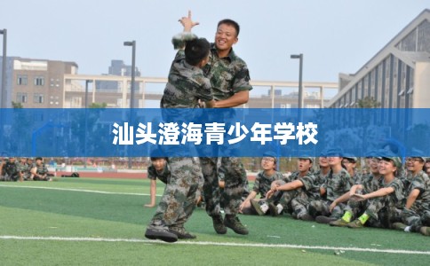 汕头澄海青少年学校