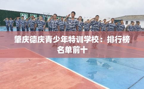 肇庆德庆青少年特训学校：排行榜名单前十