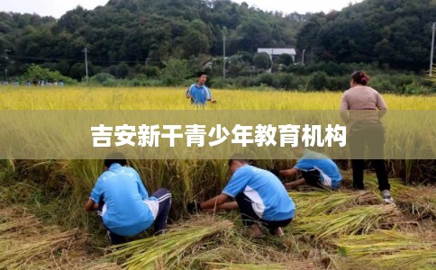 吉安新干青少年教育机构