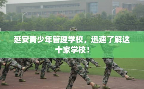 延安青少年管理学校，迅速了解这十家学校！