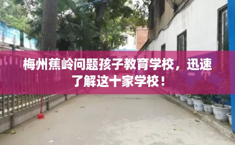 梅州蕉岭问题孩子教育学校，迅速了解这十家学校！