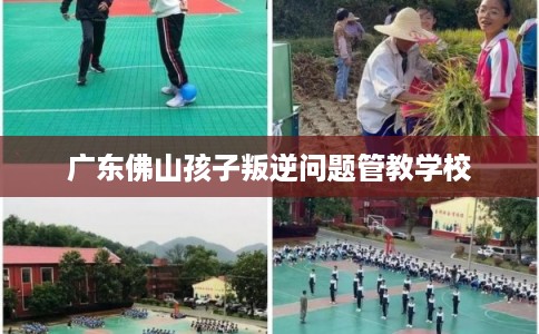 广东佛山孩子叛逆问题管教学校