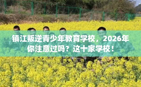 镇江叛逆青少年教育学校，2026年你注意过吗？这十家学校！