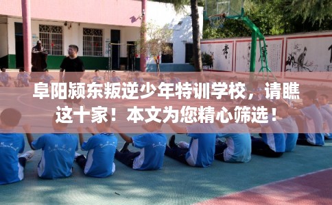 阜阳颍东叛逆少年特训学校，请瞧这十家！本文为您精心筛选！