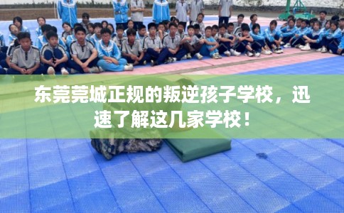 东莞莞城正规的叛逆孩子学校，迅速了解这几家学校！