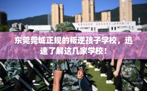 东莞莞城正规的叛逆孩子学校，迅速了解这几家学校！