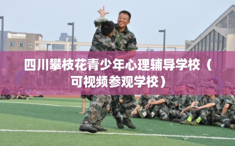 四川攀枝花青少年心理辅导学校（可视频参观学校）