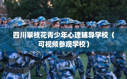 四川攀枝花青少年心理辅导学校（可视频参观学校）
