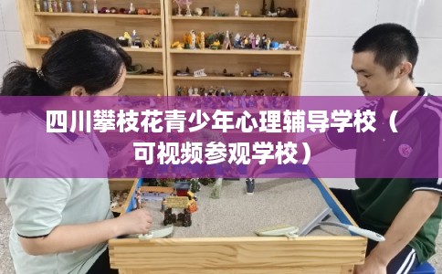 四川攀枝花青少年心理辅导学校（可视频参观学校）