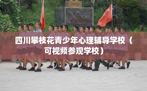 四川攀枝花青少年心理辅导学校（可视频参观学校）