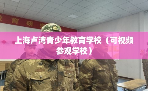 上海卢湾青少年教育学校（可视频参观学校）