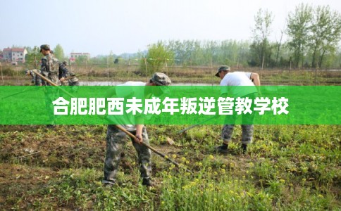 合肥肥西未成年叛逆管教学校