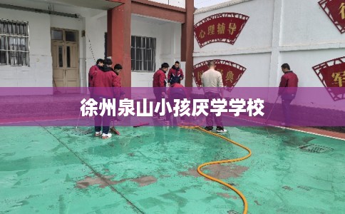 徐州泉山小孩厌学学校