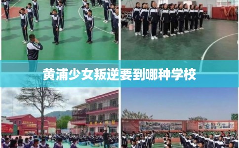 黄浦少女叛逆要到哪种学校
