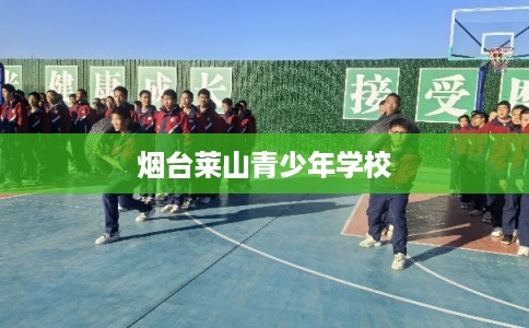 烟台莱山青少年学校