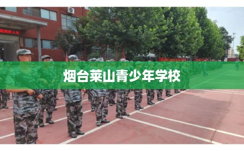 烟台莱山青少年学校