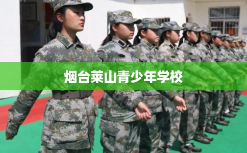 烟台莱山青少年学校