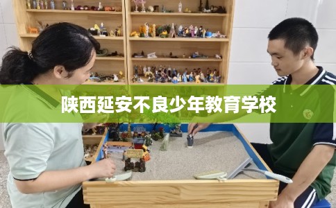 陕西延安不良少年教育学校