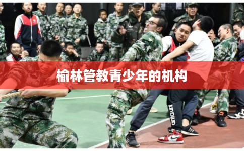榆林管教青少年的机构