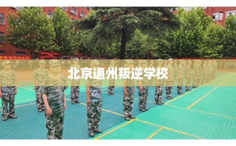 北京通州叛逆学校