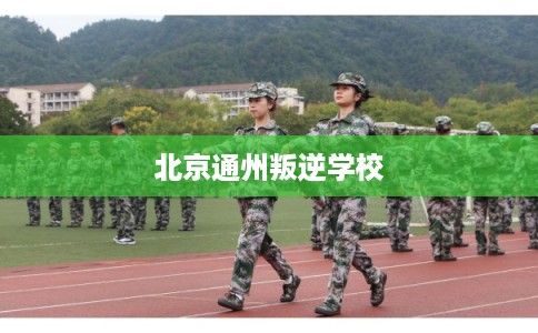 北京通州叛逆学校
