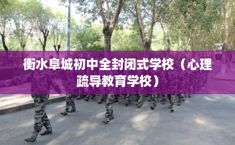 衡水阜城初中全封闭式学校（心理疏导教育学校）