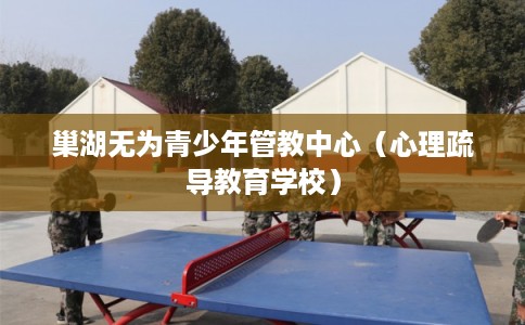 巢湖无为青少年管教中心（心理疏导教育学校）
