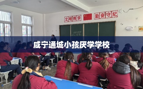 咸宁通城小孩厌学学校